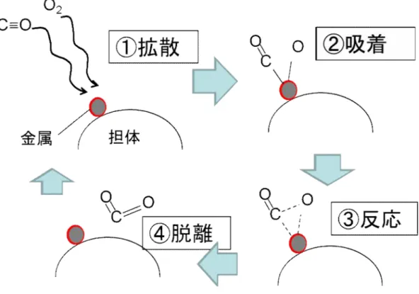 図 1-13(a)で示す状態は、全容積に対する表面の比率が図 1-13(b)の状態のも のより低いケースの例を示す。 この図 1-13(a)の状態は、分散が低いと言う。 FT-IR を使用する研究によると、Pt/Al 2 O 3 の表面で CO を吸着された後に酸素を 導入する時に表面に CO 2 種が観測される。Pt/Al 2 O 3 の Pt の分散が高い時（図 1-13 の（b））CO 2 種が観測される時間が長く、分散が低い時（図 1-13 の（a））、CO 2 種が生成する時間が短い事が知られてい
