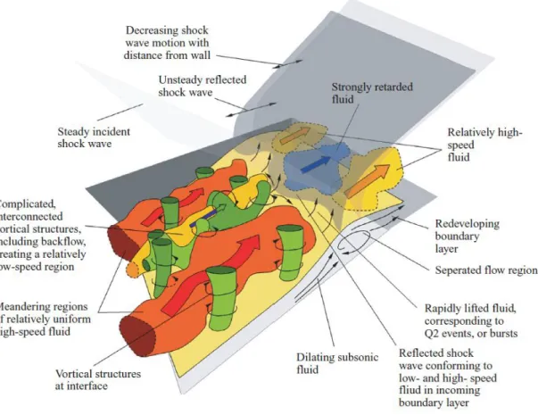 Fig. 1.3.8 Schematic representation of the three-dimensional physical model. Adapted from Humble et al