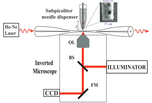 Figure 2.6: Schematic diagram of the experiment. The inset shows a typical SEM image of the needle tip with a diameter of 17 µm, which we use for the present experiments