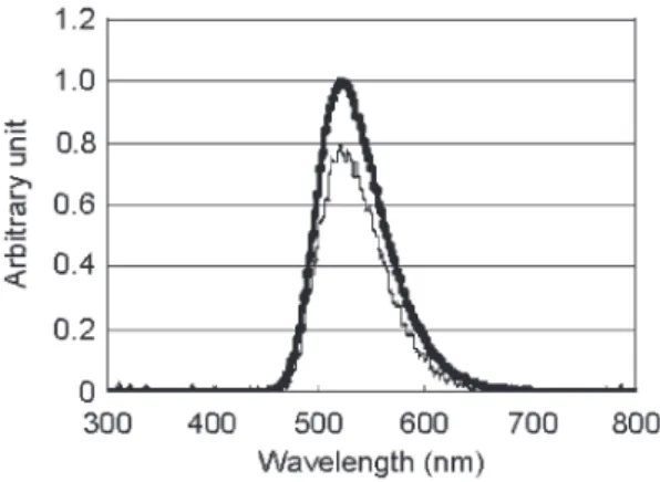 Figure 6. The time ‐ course of M. chlorophos bioluminescence at various temperatures.