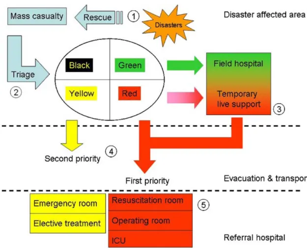Figure 3.5.Scenario of emergency information systems 