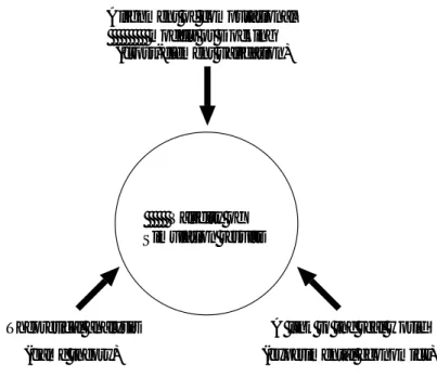 図 2.8: Three approaches to the validity of simulation results