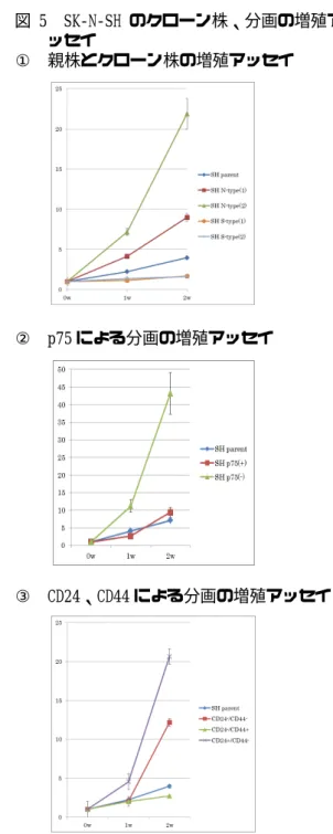 図 4  SK‑N‑SH の表面マーカーによる分画と  その 4 週間後の変化   SK‑N‑SH 分画前       p75          CD24         CD44            A: p75(‑)CD24(‑)CD44(‑)            B: p75(‑)CD24(+)CD44(‑)            C: p75(‑)CD24(‑)CD44(+)            D: p75(+)CD24(‑)CD44(‑)            E: p75(+)CD24(
