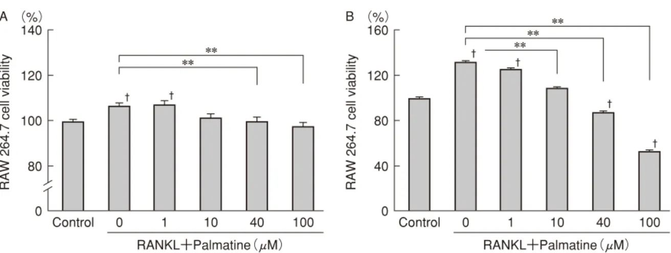 図 5    転写因子 NFATc1 の mRNA に対する palmatine の影響 RANKL （ 50 ng / mL ）および palmatine （ 0, 1, 10, 40, 100 μ M ）を投与後， 24 時間培養した RAW264.7 細胞におけ る NFATc1 mRNA の発現を観察した。 ＊＊ P ＜ 0.01 ， † P ＜ 0.05 vs