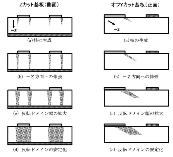 Fig. 1.10    Stepwise formation of domain-inverted gratings in Z-cut (left) and Y-cut (right)  LiNbO 3  crystals