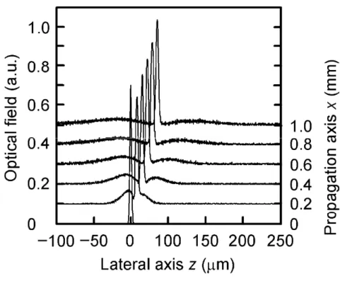 Fig. 2.14  Optical field distribution of tilted waveguide with tilted angle of 2° along  propagation axis at every 0.2 mm from input facet.
