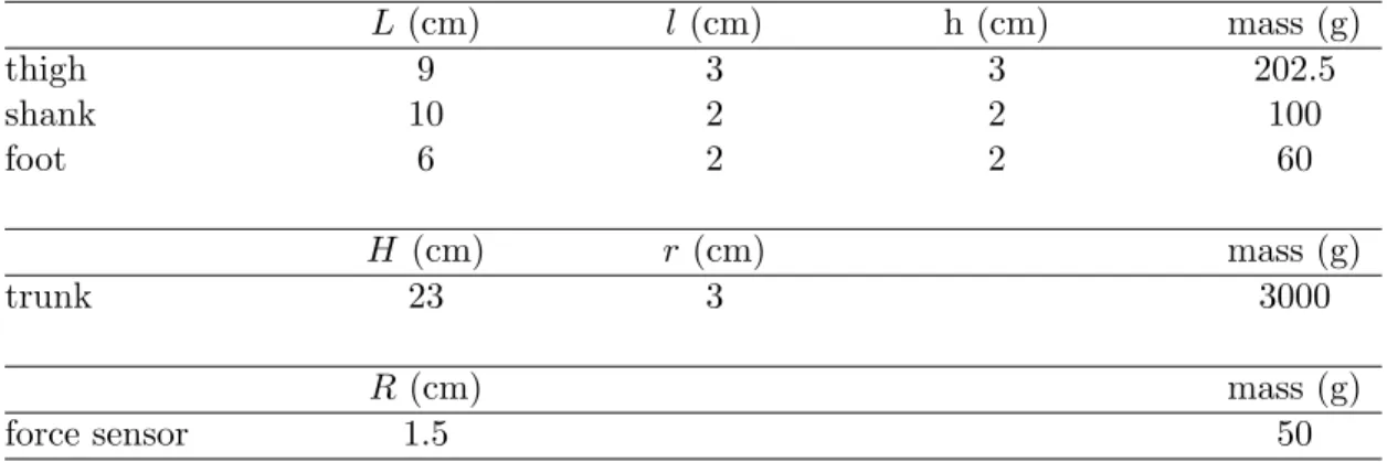 Table 4.2: Dimensions and masses of the bodies constituting the simplified quadrupedal model L (cm) l (cm) h (cm) mass (g) thigh 9 3 3 202.5 shank 10 2 2 100 foot 6 2 2 60 H (cm) r (cm) mass (g) trunk 23 3 3000 R (cm) mass (g) force sensor 1.5 50