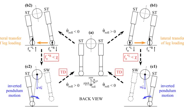 Figure 4.4: Contribution of the phase modulations based on leg loading information to the emergence of left-right alternate stepping.