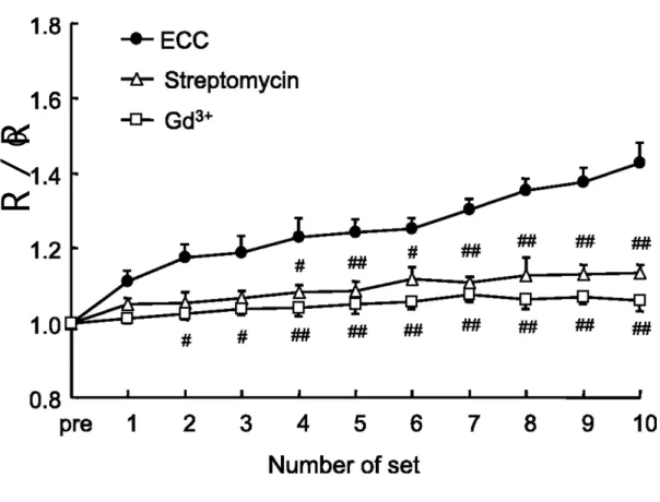 Fig. 16. Effect of stretch-activated ion channel blocker streptomycin and gadolinium  (Gd 3+ ) following eccentric (ECC) contractions in spinotrapezius muscles in vivo on  [Ca 2+ ] i 