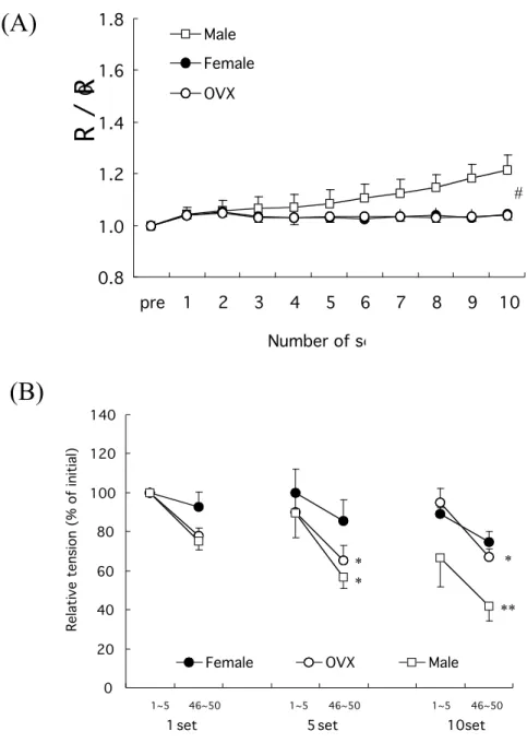 Fig. 18. (A) Effect of sex difference following isometric (ISO) contractions in spinotrapezius muscles in  vivo  on  [Ca 2+ ] i 