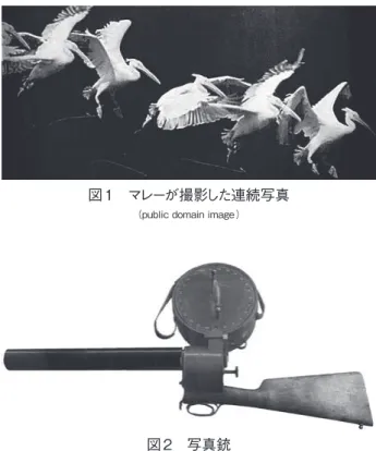 図 1　マレーが撮影した連続写真