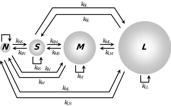Fig. 2.2.  A model of platelet aggregation expressed by the chemical kinetics. 