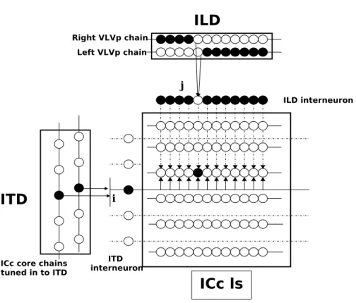 図 2.10: 音源定位のモデル。矢印付き実線は興奮性接続を表す。矢印付き点線は抑 制性接続を表す。