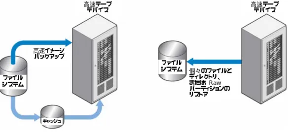 図  9: NetBackup Advanced Client  の FlashBackup 