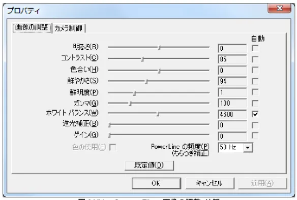 図 6 Video Capture Filter  画像の調整  外観 