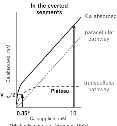 Figure 5. The details of Ca absorption in the everted segments (modified from Pansu,  1981)