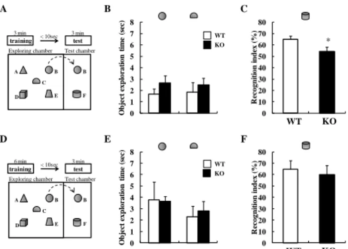 Fig. 5. DGKβ KO mice showed an attention-deficit behavior  in object based attention test