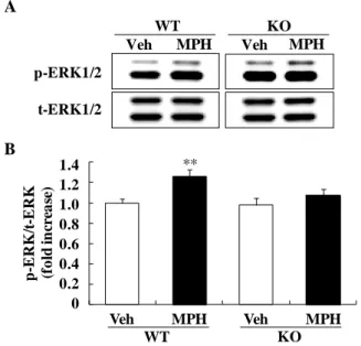 Fig.  7.  DGKβ  KO  mice  showed  an  abnormal  response  to  methylphenidate (MPH). 
