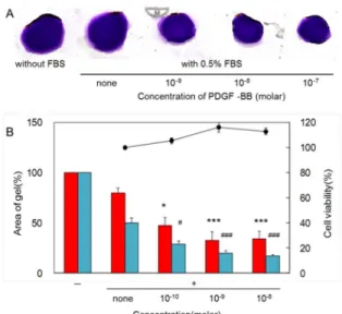 Fig. 3 Effects of FBS and additive PDGF-BB on contraction  of collagen gel containing pTM cells