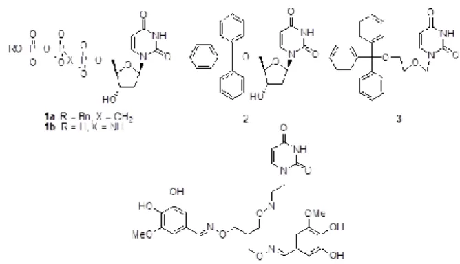 Fig. 1. 5-FU の癌細胞に対する作用と dUTPase. 