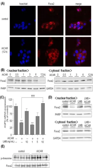 Fig. 6. Effects of PI3K and Akt on AQP9 mRNA expression. 