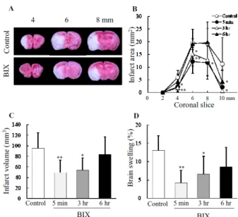 Fig. 7 Effects of BIX administered after ischemia on a  therapeutic window after MCAO in mice 