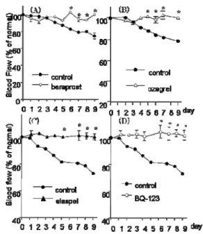 Fig. 4 L-NAME および 1400W の影響