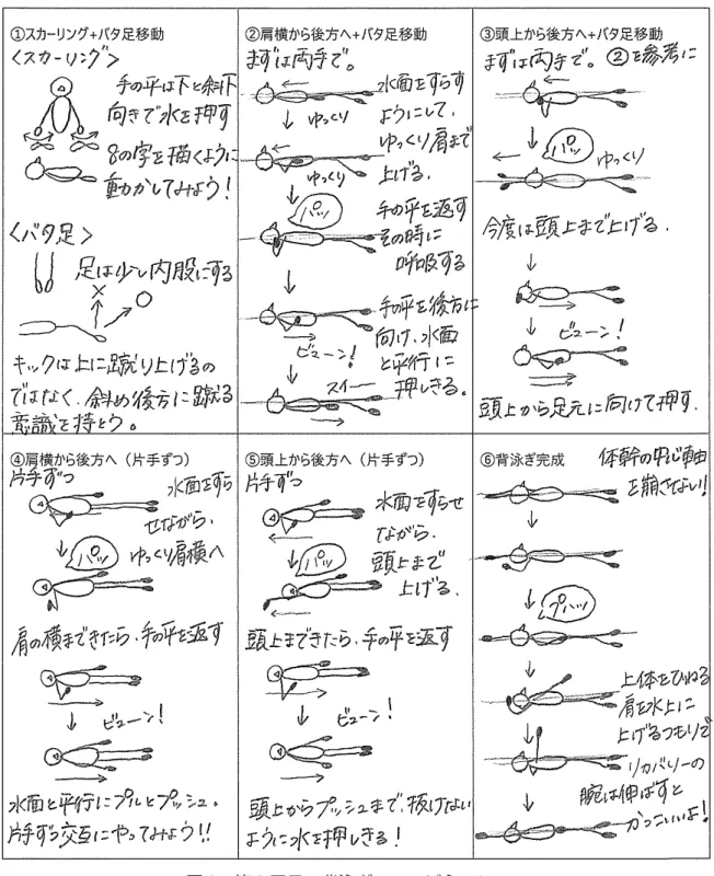 図 3　第 3 回目：背泳ぎのコンビネーション