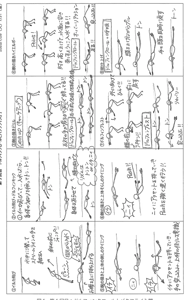 図 5　第 5 回目：ドルフィンクロールとバタフライ入門