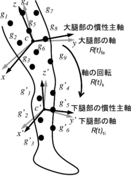 図 で用いる標点位置と体節の軸についての模 式図