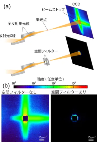 図 1 (a)高分解能Ｘ線タイコグラフィーの光学系の模式図。(b)CCD で測定した強度分布。 