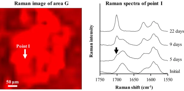 Figure 14. Raman image of area G in Figure 13 and Raman spectra of point I  before and after storage