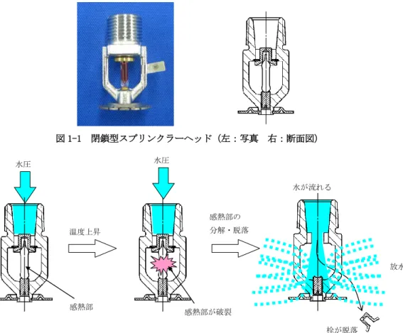 図 1-1  閉鎖型スプリンクラーヘッド（左：写真  右：断面図）  水圧  感熱部  水圧  感熱部が破裂 温度上昇  感熱部の  分解・脱落  水が流れる  栓が脱落  放水  図 1-2  閉鎖型スプリンクラーヘッドの放水の動作  水を微細噴霧で消火する手段は、現状 5MPa 以上の高圧力で行う高圧タイプが実用化さ れているが、本開発では、一般のスプリンクラー設備で使用する 1MPa 以下の圧力条件で 同等な微細噴霧の実現を目指した。また、IMO 規格では閉鎖型機構を持つことが要求され ている。  す