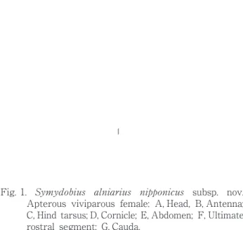 Fig. 1. subsp. nov.