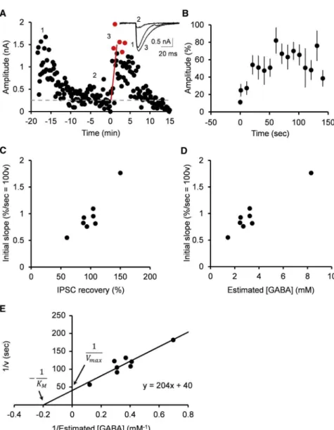 Figure 3. Estimation of Vesicular GABA Up- Up-take Rate Using GABA Uncaging