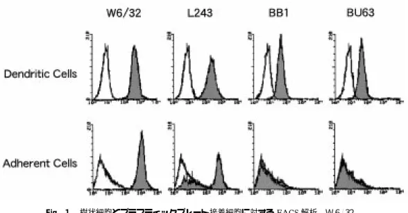 Fig. １ 樹状細胞とプラスティックプレート接着細胞に対する FACS 解析．Ｗ６／３ ２，