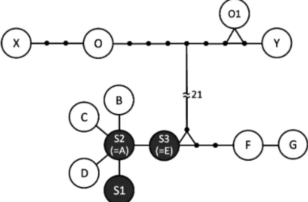 Fig. 5.  Minimum  spanning  network  of  mtDNA  haplotypes detected in species of Phoxinus from the Ishi  and Chihaya rivers and three other river systems based on  a previous study