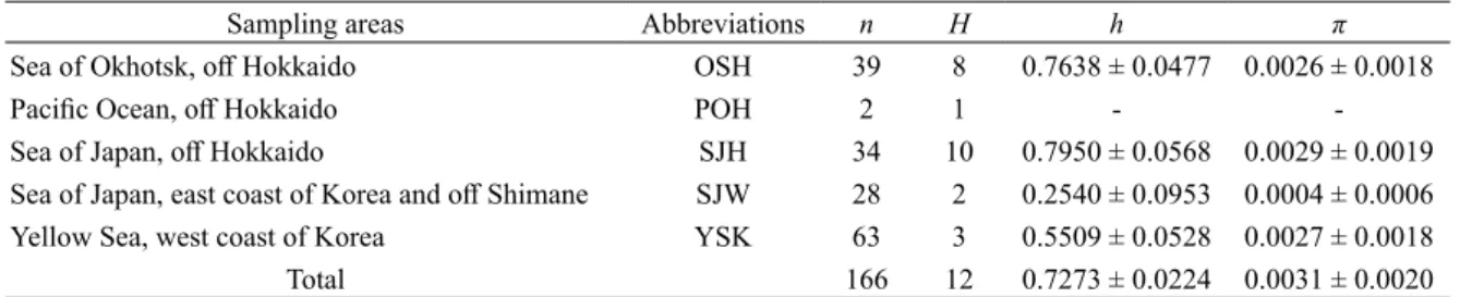 Fig. 2. Haplotype network for Beringraja pulchra from  five sampling areas based on 592 bp of mitochondrial COI  gene