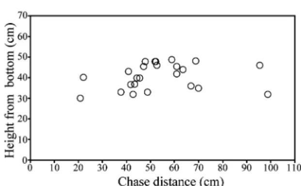Fig. 5.　Relationship between chase distance and height  distances of ayu territory holders.