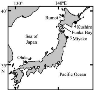 Fig. 1.　Sampling sites of Hippoglossoides dubius. 