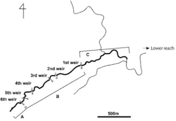 Fig. 1.　Schematic map of a tributary of the Ibigawa  River, Gifu Prefecture, Japan. Bold line indicates sampling  area (altitude of 400–610 m)