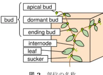 図 1 ツタの写真 Fig. 1 Picture of climbing plant.