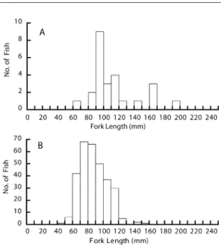Fig. 3. Fork length distribution in white-spotted charr (Salvelinus leucomaenis) collected in the Shoro River system