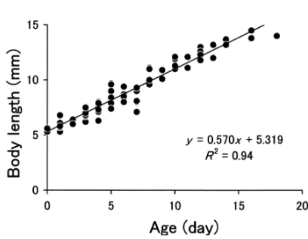 Fig. 5. Relationship between age in days (x) and body length (y) of Ryukyu-ayu larvae collected at Y2 and Y3.