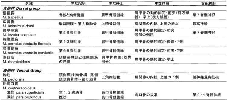 表 1 ． 体 幹 筋 群 ．