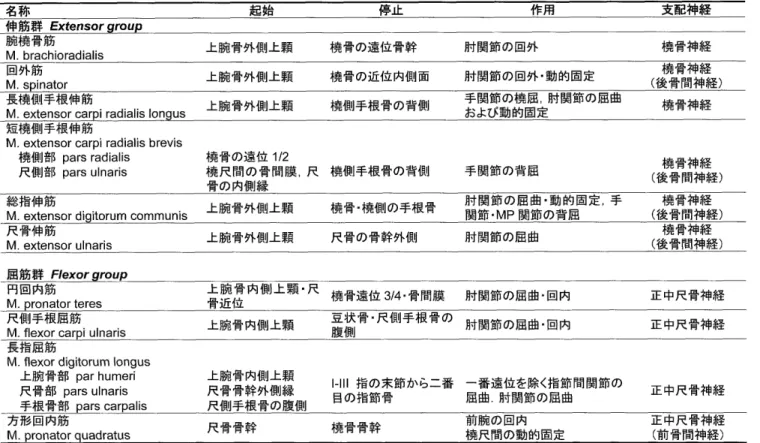 表 4 ． 前 腕 筋群 ，