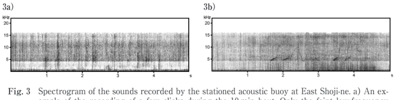 Fig. 3      Spectrogram of the sounds recorded by the stationed acoustic buoy at East Shoji-ne. a) An ex- Spectrogram of the sounds recorded by the stationed acoustic buoy at East Shoji-ne. a) An ex-ample of the recording of a few clicks during the 10-min 