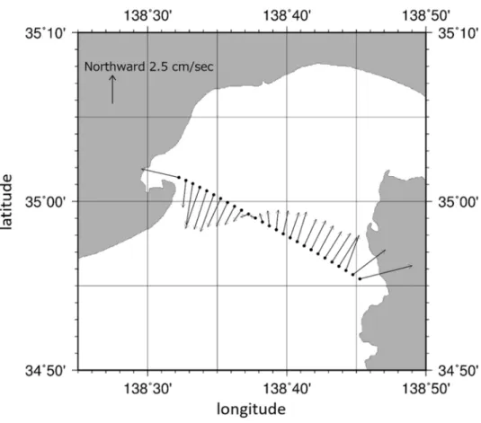 Fig. 2 The Stick diagrams of the whole layer and 1 year measuring period mean current