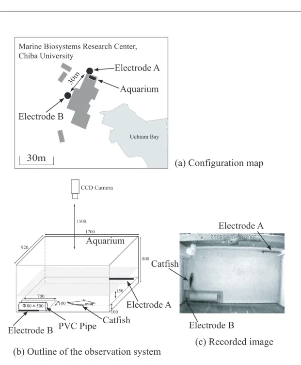 Fig. 1.  Observation system