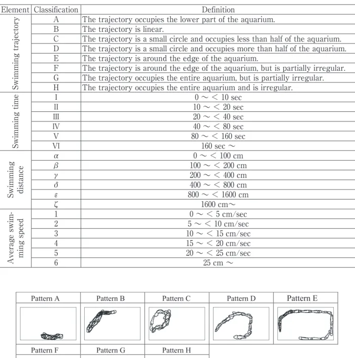 Fig. 3.  Classification of the trajectory pattern (sample)